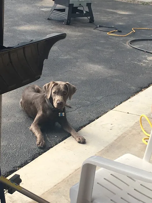 ECS Roofing Picture 6