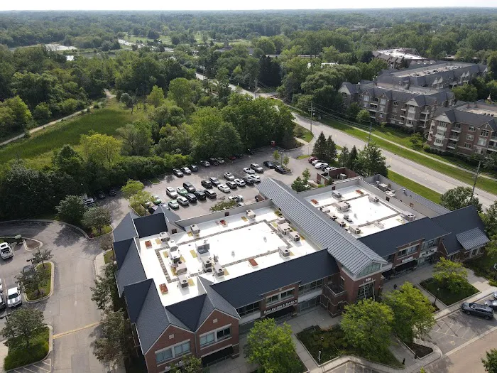 Dragon Exteriors Picture 4