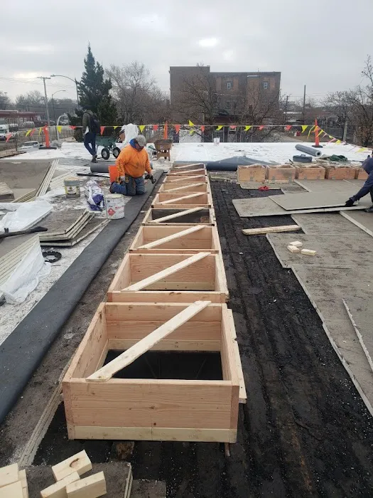 Exterior Restoration Group Picture 7