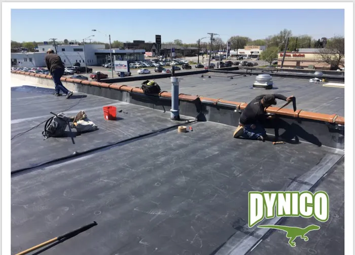 Dynico Roofing Picture 1