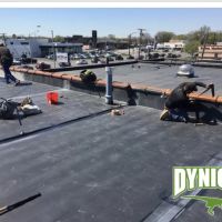 Dynico Roofing ico