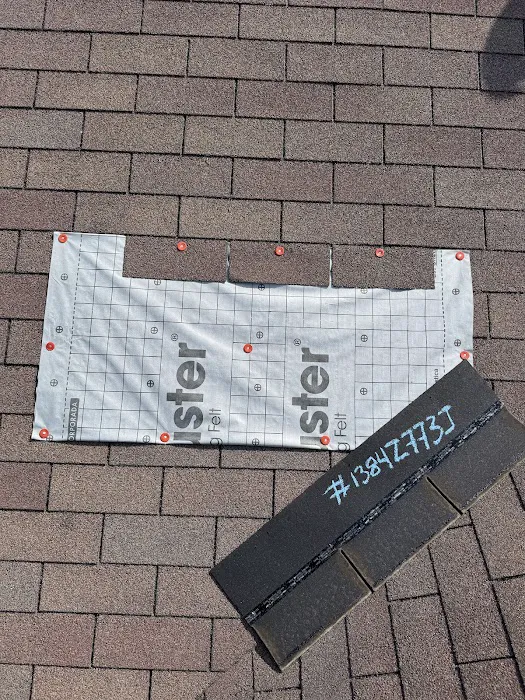 Gold Star Restoration Company Picture 7