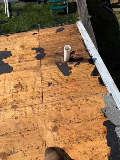 Walnut Creek Designs Inc. Picture 9