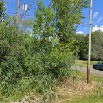 Empire Roofing and Gutters PLLC