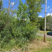 Empire Roofing and Gutters PLLC ico