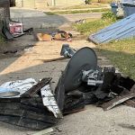 Martin's Roofing Dog