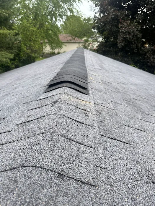 D&S Legacy Roofing & Home Maintenance Co Picture 6