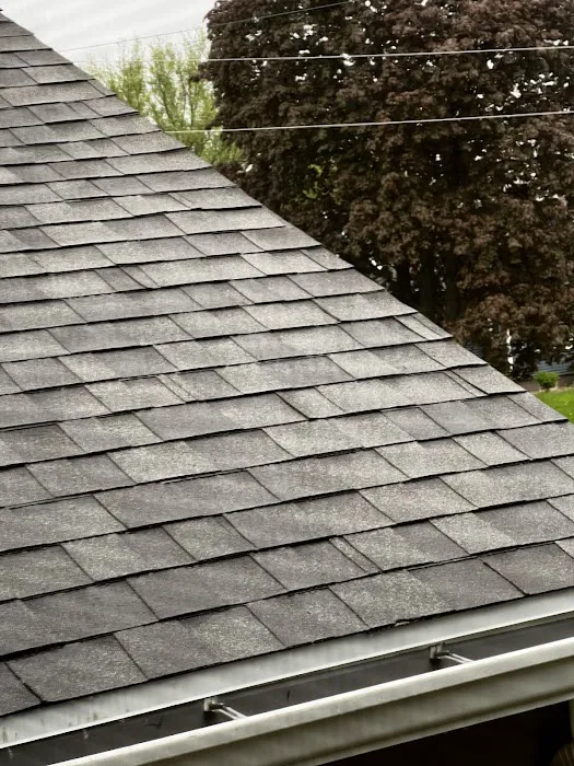 Pana's Roofing and Siding Picture 1