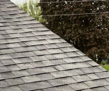 Pana's Roofing and Siding