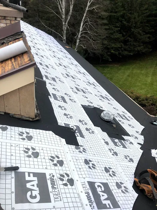 Valdino Roofing Picture 5