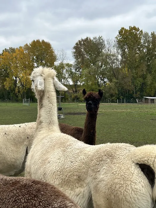 Heins Contracting Roofing and Siding Waukesha Picture 2