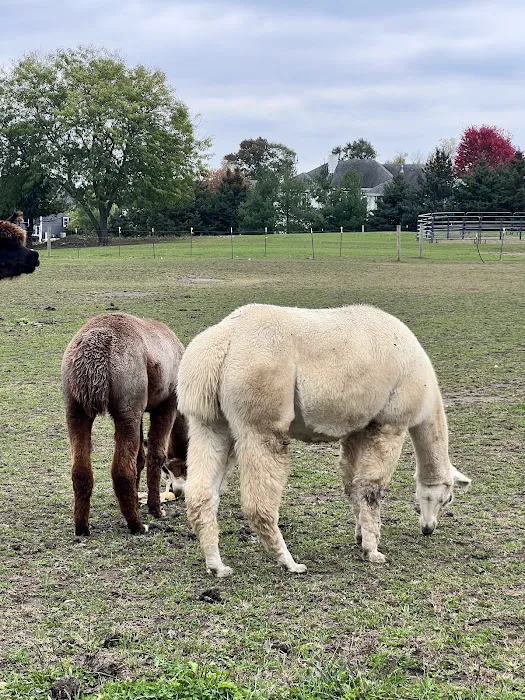 Heins Contracting Roofing and Siding Waukesha Picture 3