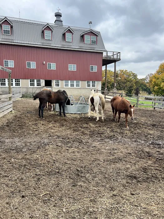 Heins Contracting Roofing and Siding Waukesha Picture 10