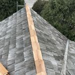 Cedar Preservation Specialists