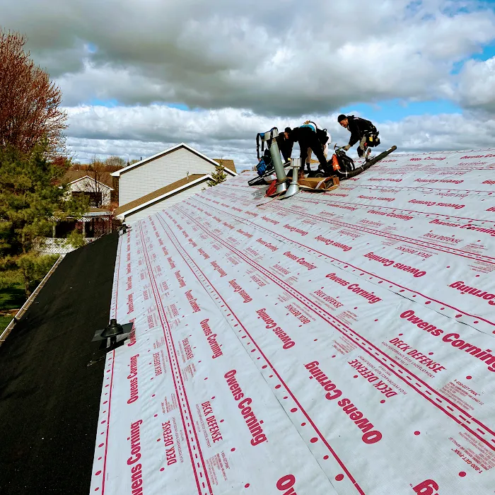 Modern Exterior Roofing Picture 3
