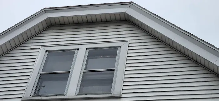 Modern Exterior Roofing Picture 7