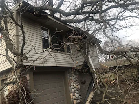 Bulldog Builders Picture 1