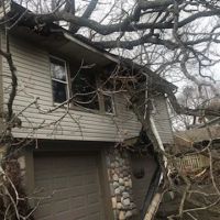 Bulldog Builders ico