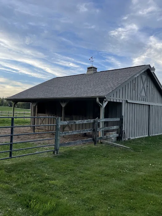 Local Roofing Solutions Inc. Picture 10