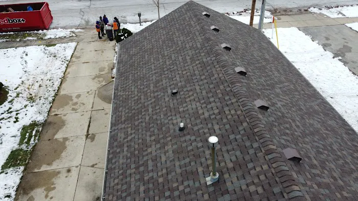 Adonis Roofing Picture 4