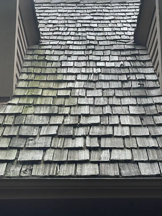 Cedar Roof Repair Picture 4