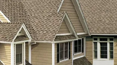 Real Estate Improvement Co Picture 1