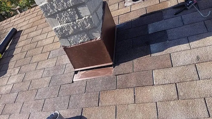 Modern Exterior Roofing Picture 4