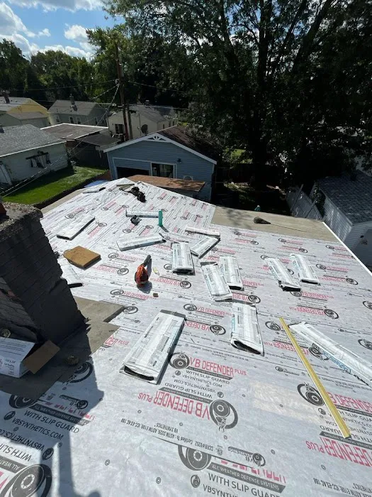 Modern Exterior Roofing Picture 6