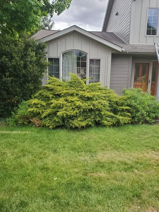 Milwaukee Roof repairs Picture 6