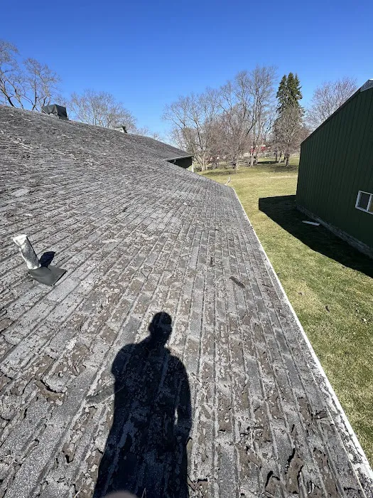 REXX ROOFING Picture 4