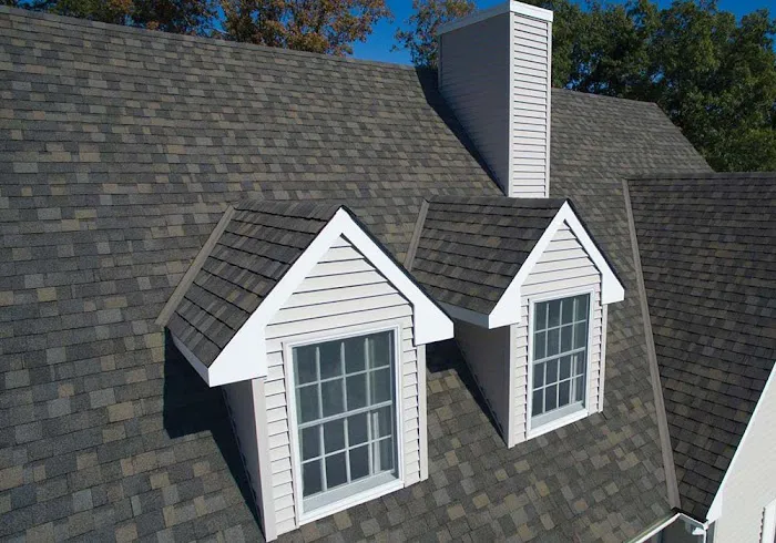 Modern Exterior Roofing Picture 2