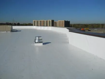 V & F Roof Consulting & Service Picture 1