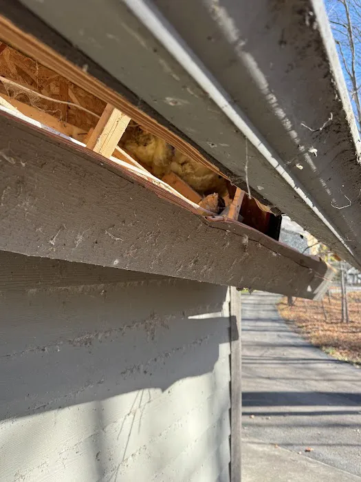 Ladders Up Exteriors Picture 4