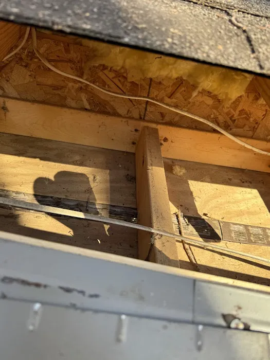 Ladders Up Exteriors Picture 10