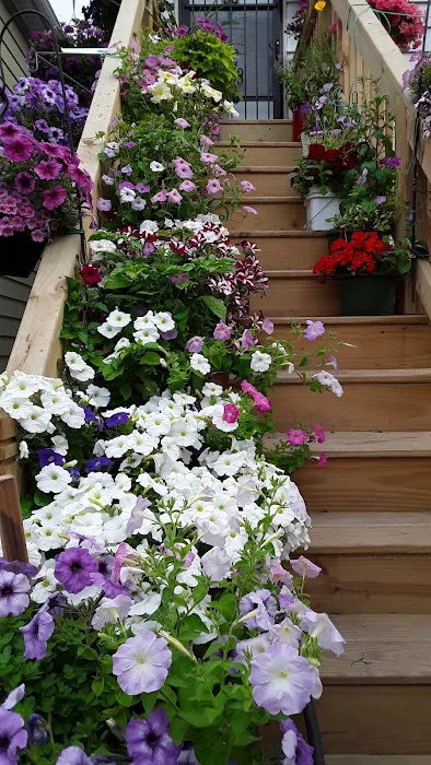 VEGA CONSTRUCTION SERVICES , LLC Picture 4