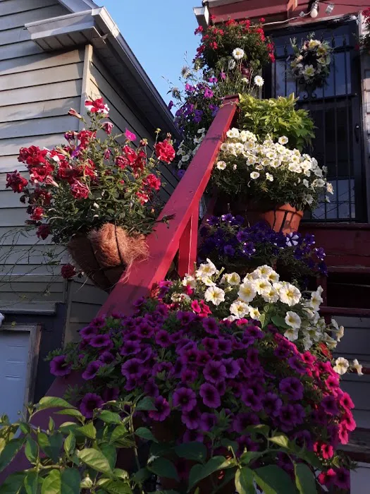 VEGA CONSTRUCTION SERVICES , LLC Picture 7