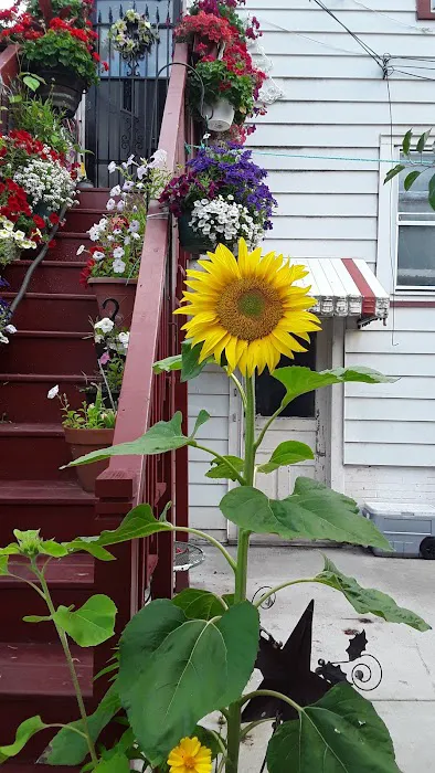 VEGA CONSTRUCTION SERVICES , LLC Picture 6