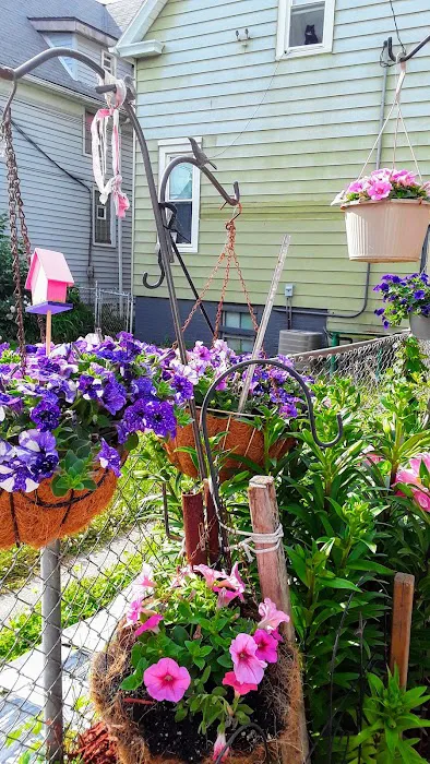 VEGA CONSTRUCTION SERVICES , LLC Picture 9