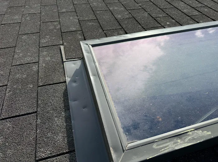 Bubblegum Roofing Picture 6