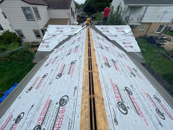 Bubblegum Roofing Picture 3