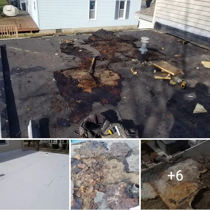 Metallic Salt Roofing and Restoration Picture 3