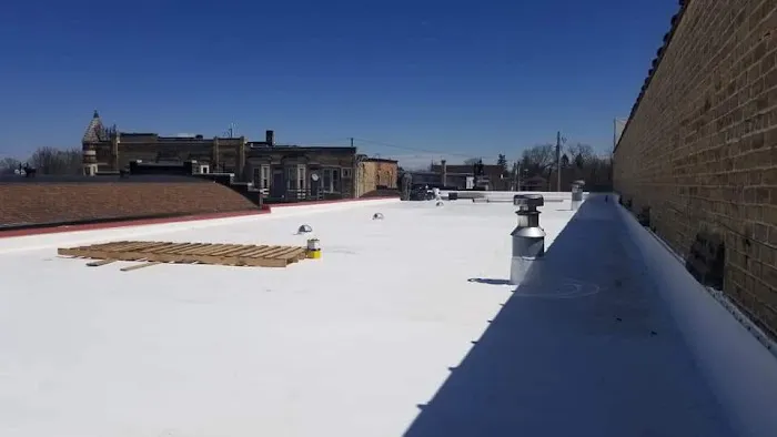 Metallic Salt Roofing and Restoration Picture 10