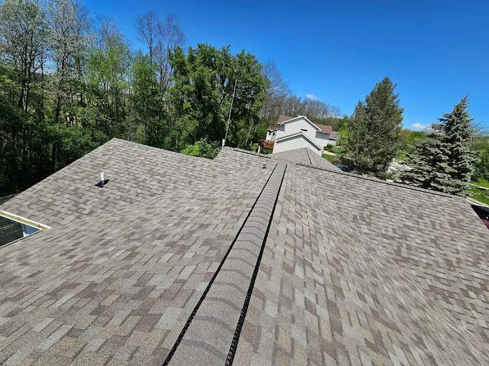 Metallic Salt Roofing and Restoration Picture 8