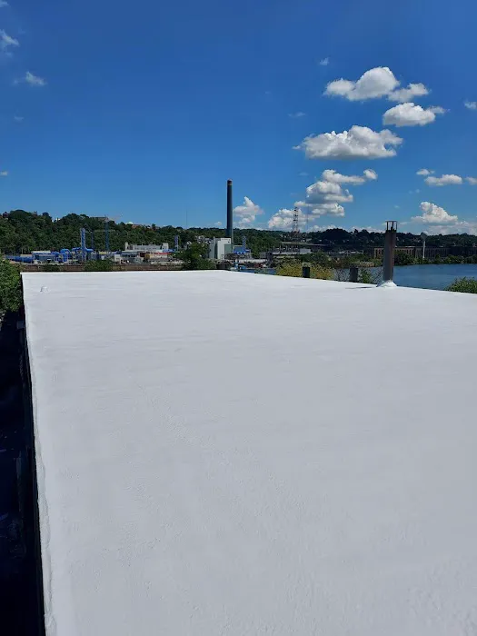 Save My Roof Picture 2