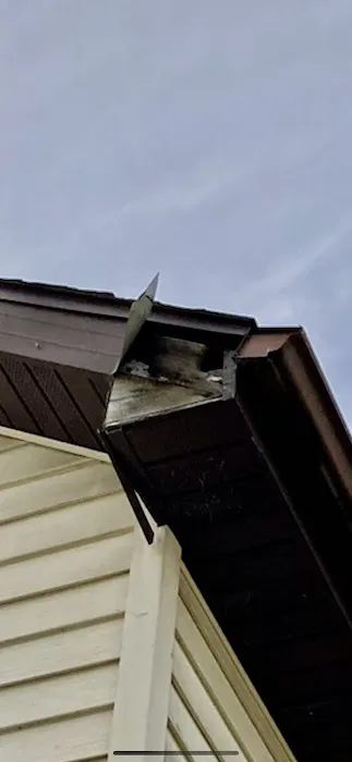 Complete Roofing Picture 4