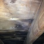 Dukes Roofing