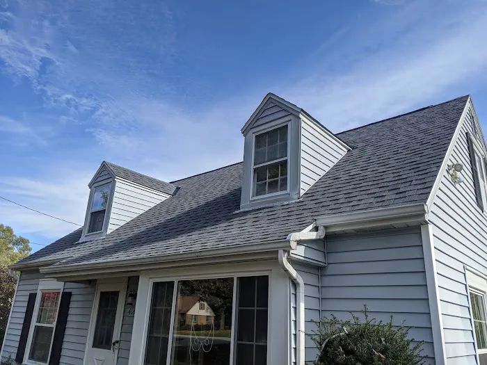 Rescue My Roof Picture 2