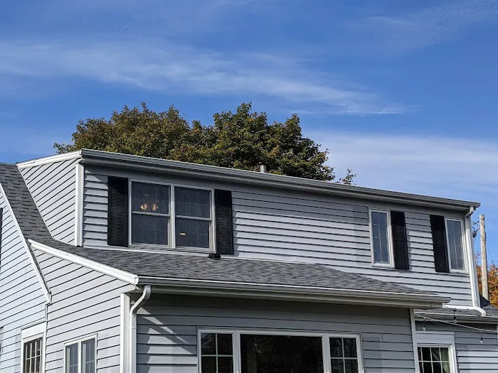 Rescue My Roof Picture 4