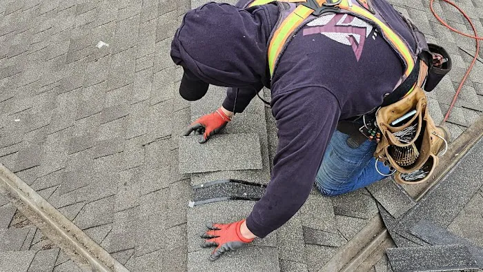 Swan Exteriors Picture 8