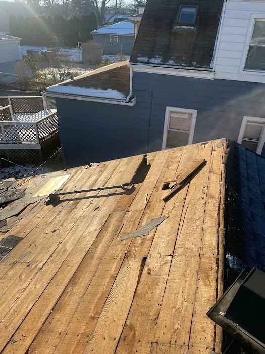 Swan Exteriors Picture 3